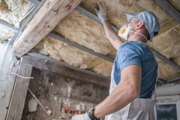 Best DIY Insulation Kits and Guidance in Millbrook, AL