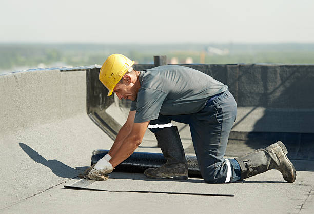 Best Cellulose Insulation in Millbrook, AL