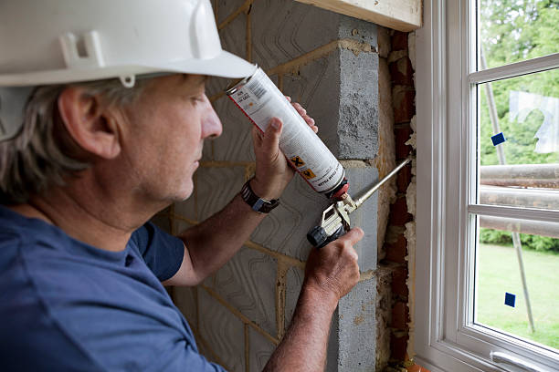 Best Geographic-Specific Insulation Services in Millbrook, AL